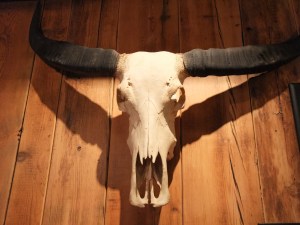 Cow skull decor at Red Dog Saloon London