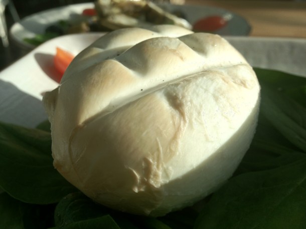 smoked buffalo mozzarella at obika