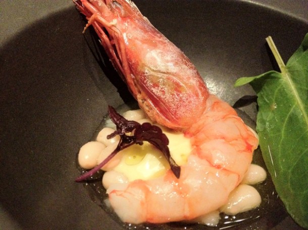 raw prawn at saüc