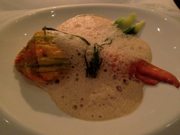 courgette flower stuffed with lobster at pattersons