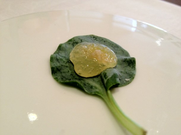 oyster leaf with apple and sweet ginger sauce at Gelonch oyster leaf with apple and sweet ginger sauce at gelonch