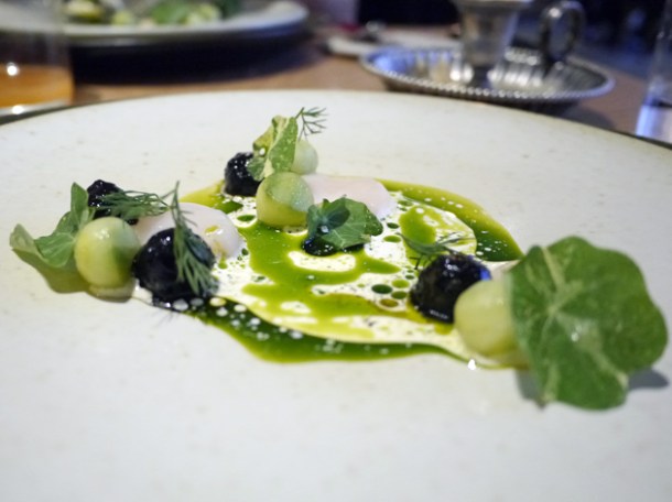 scallops, cucumber and dill ash at story