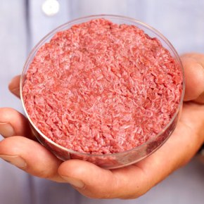Lab-grown meat: a vegetarian’s viewpoint