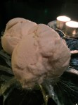 lychee and rose sorbet at courtesan
