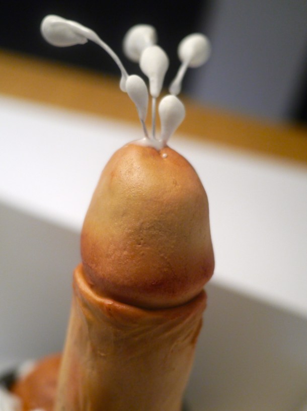 cakes by robin semen bellend cake