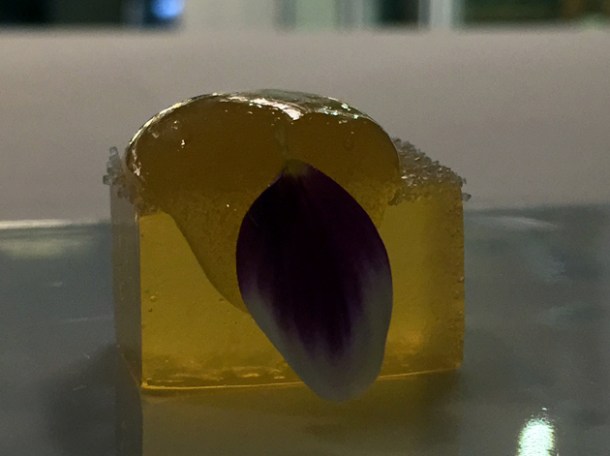orange and cardamom jelly at metamorfosi