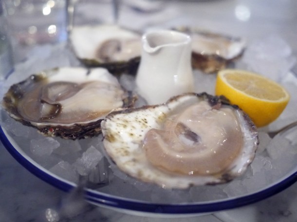 native oysters at rex and mariano