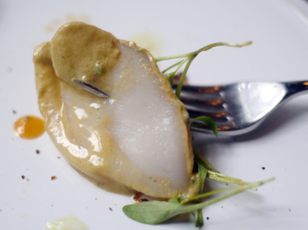 canned scallop at taberna do mercado