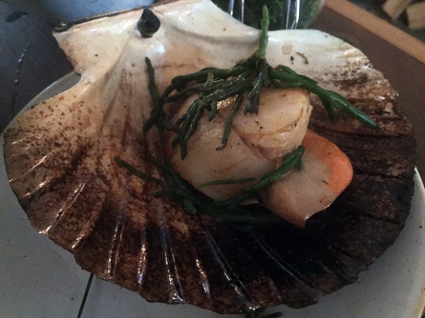 nduja scallops with samphire at rök