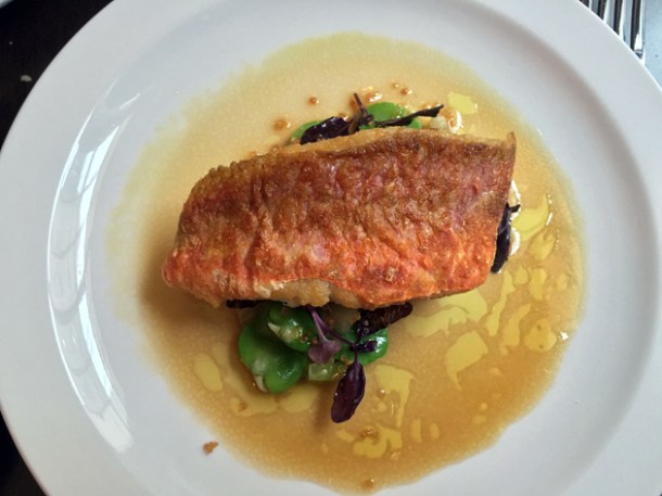 red mullet at the newman arms