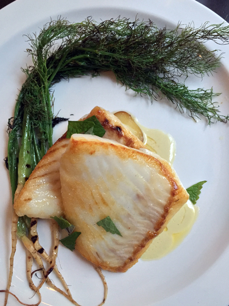 turbot with baby fennel at the newman arms