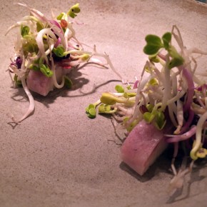 Nobelhart and Schmutzig review – cloaked contemporary cuisine close to Checkpoint Charlie