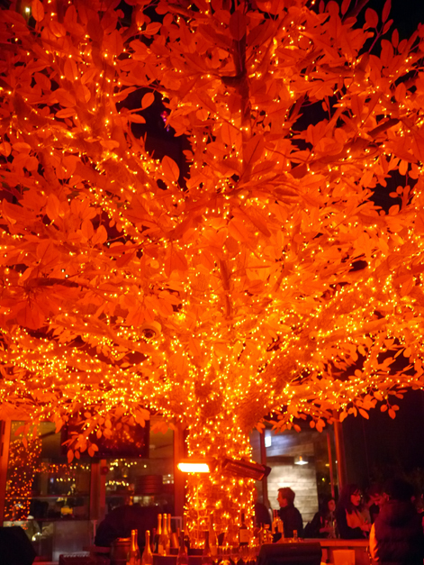 tree bar at sushisamba london