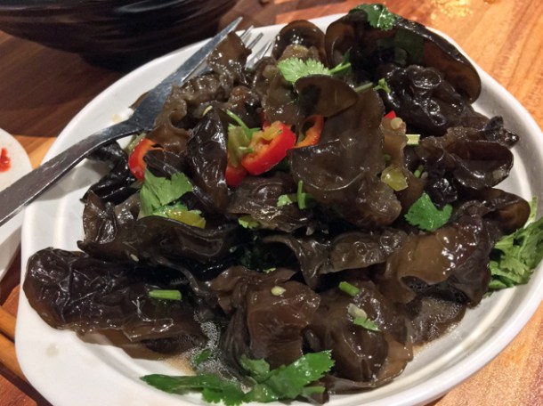 black fungus at xi'an impression
