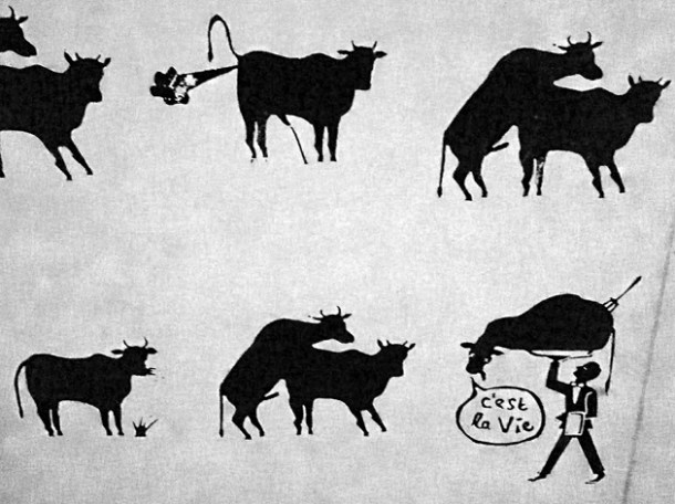 cow wallpaper at hill and szrok pub