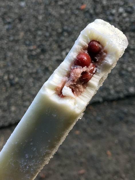 imuraya adzuki bean vending machine ice cream