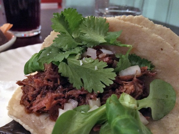 lamb tacos at corazon