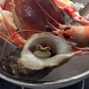 Rick Stein Barnes review – celebrity chef serves the only seafood in the village