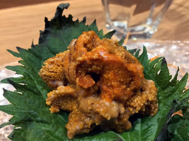 sea urchin at sushi atelier