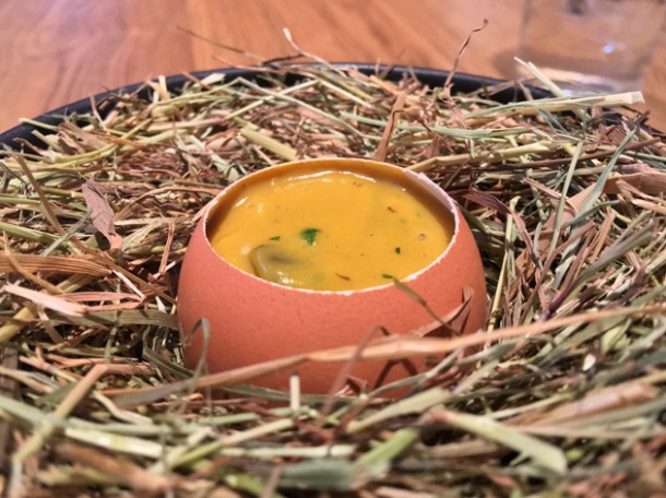 nest egg at hide above