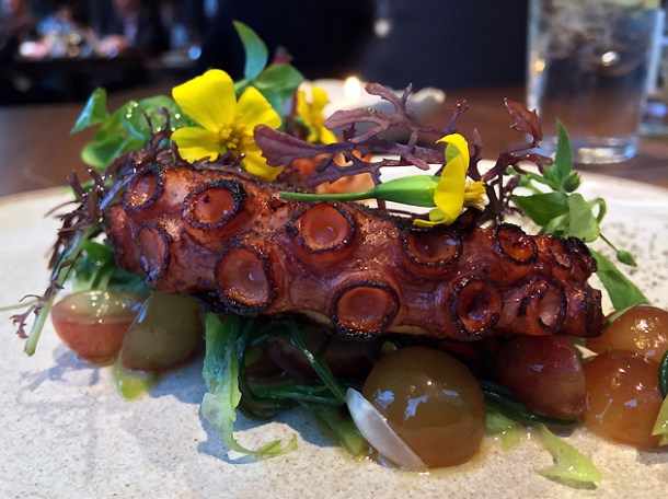 octopus at hide ground