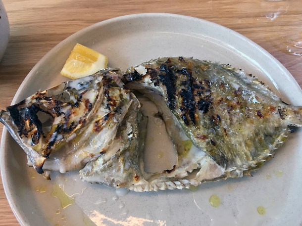 john dory at bright