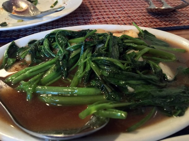 morning glory at singburi