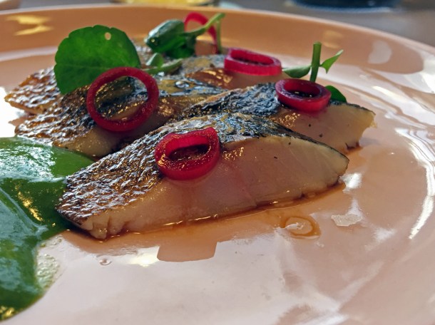 flamed mackerel at two lights