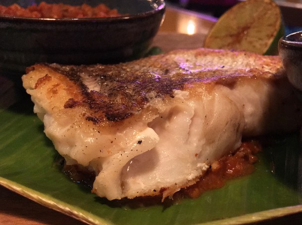 hake veracruz at casa pastor