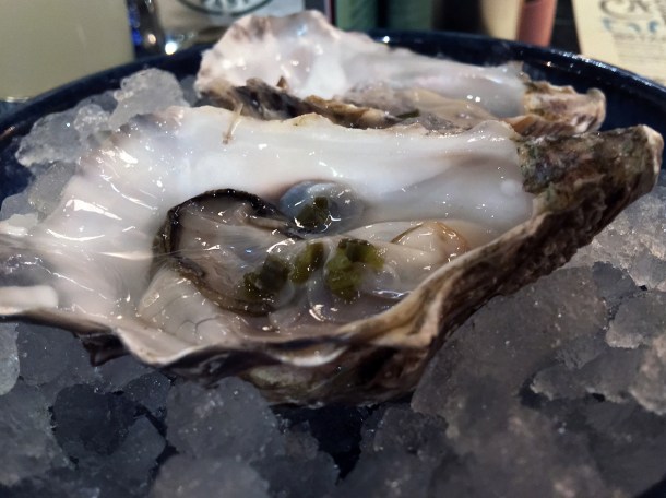 pickled jalapeno oysters at casa pastor