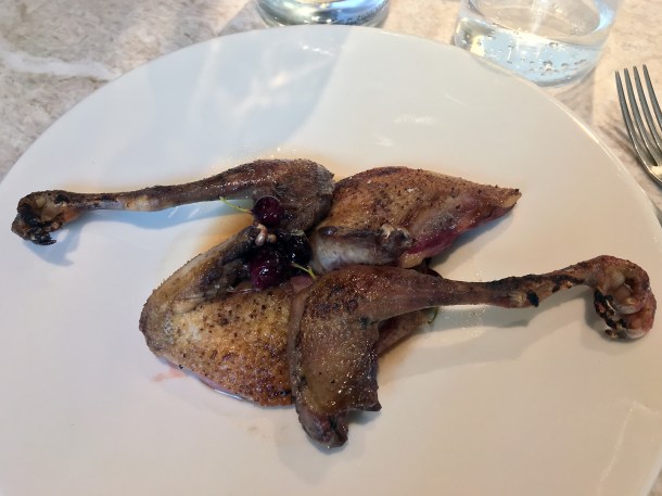 illustrative photo of the pigeon at Flor