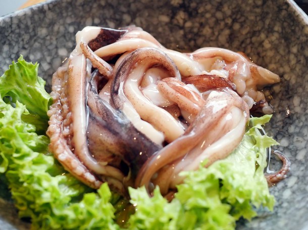 illustrative of the squid at Seveni