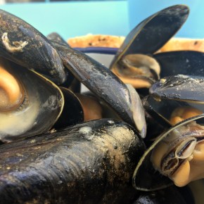 Mackerel Sky review – this seafood bar achieves lift-off, but doesn’t quite soar