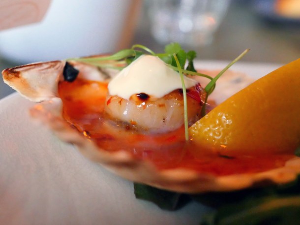 illustrative image of the scallops at Artists Residence Penzance