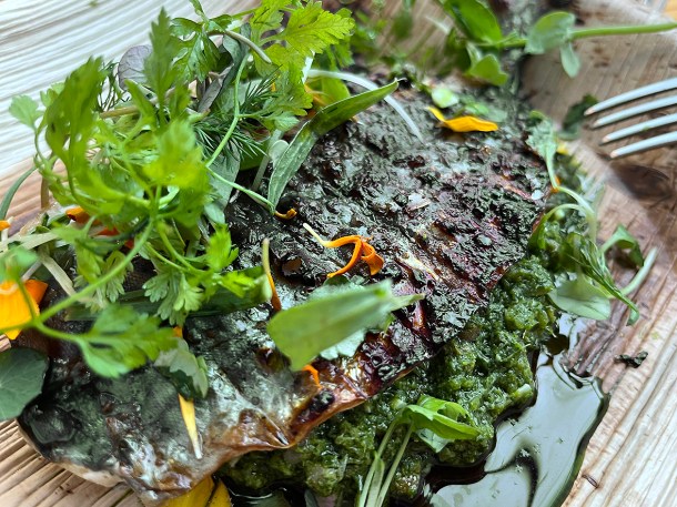 illustrative photo of the mackerel with gribiche at Acme Fire Cult