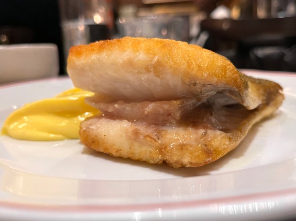 illustrative photo of the brill at Josephine Bouchon