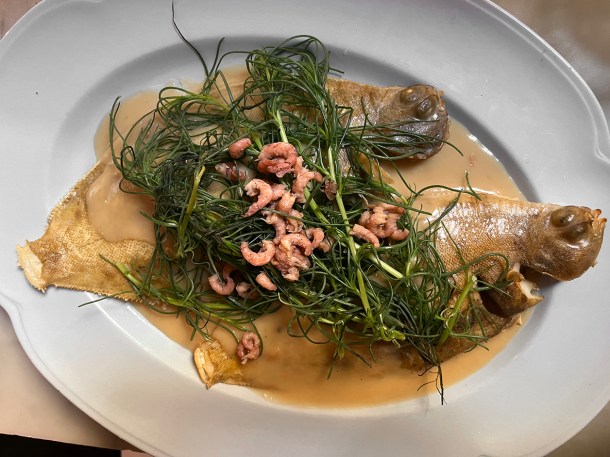 illustrative photo of the lemon sole at Camille